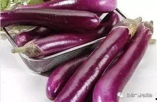 茄子精产国产品入口高清,高清解析市场格局与趋势